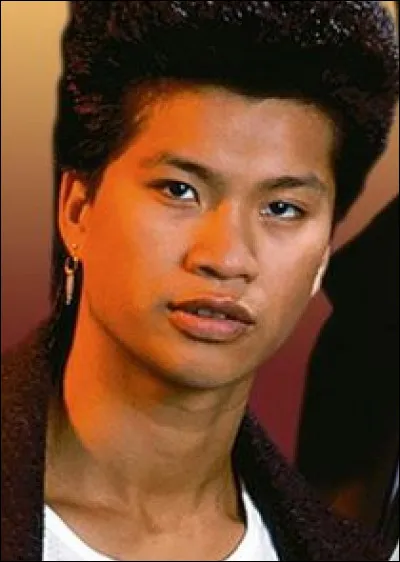 De quel pays est originaire Harry Truman Ioki, policier dans la s&eacute;rie "21 Jump Street" ?