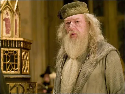 Quel est le passe-temps préféré de Dumbledore ?