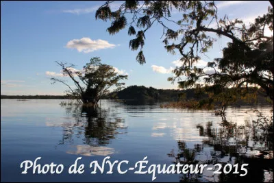 Quel est ce cours d'eau qui alimente le fleuve Amazone et inonde en partie la forêt amazonienne équatorienne ?