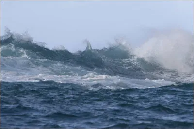 Le Gulf Stream est un courant océanique chaud qui prend sa source et s'étend dans l'océan...