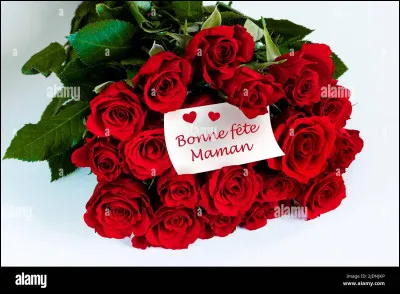 Quelle est la couleur des yeux de ta mère ?