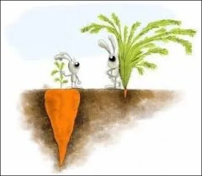 Complétez ce proverbe : "Les apparences sont...