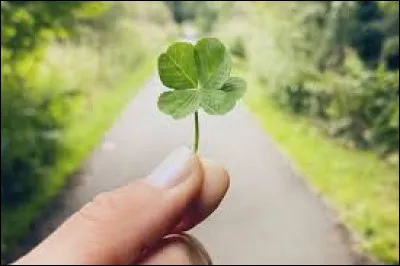 Complétez ce proverbe : "La chance sourit...