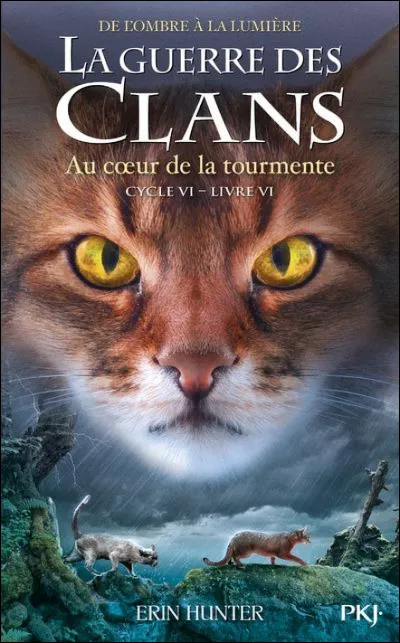 Comment s'appelle le tome 6 du cycle 6 ?