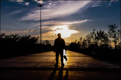 Tu préfères que le héros soit...
(Il peut y avoir plusieurs héros mais je parle du personnage principal.)