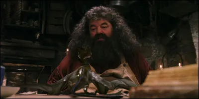 Comment sappelle le Dragon de Hagrid ?