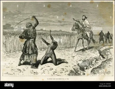 La Journée internationale pour labolition de lesclavage se déroule le 2 novembre.
Vrai ou faux ?