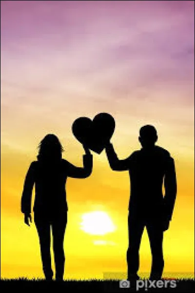 Combien de membres formaient le groupe de pop "Chagrin d'amour" ?