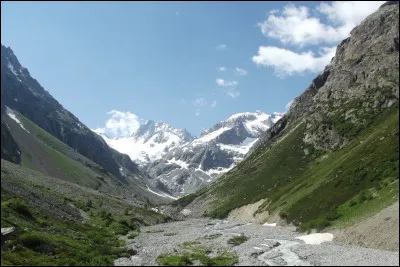 Quel est ce torrent, long de 33,5 km, qui prend sa source au pied du glacier de la Pilatte, traverse le massif de l'Oisans et se jette dans la Romanche près de Bourg-d'Oisans ?