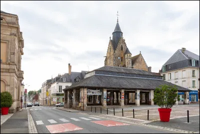 Quelle est cette ville de 5 000 habitants, petite sous-préfecture du nord du département, située à la limite du Perche ?