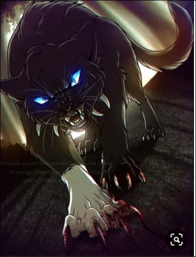 Comment est mort Étoile du Tigre ?