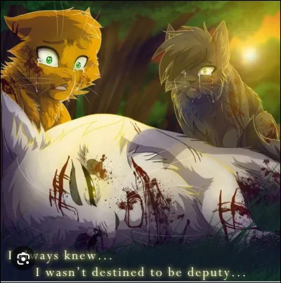 Qui a tué Tornade Blanche ?