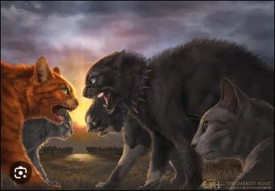 Qui venge Tornade Blanche ?