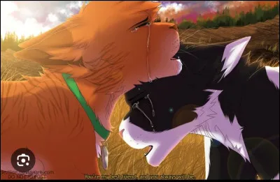 Qui est le premier ami d'Étoile de feu ?