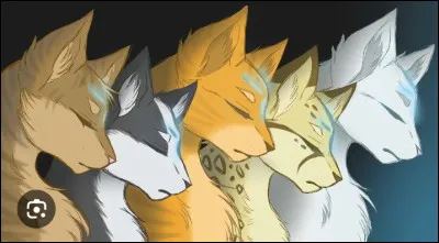 Qui est le premier lieutenant d'Étoile de feu ?