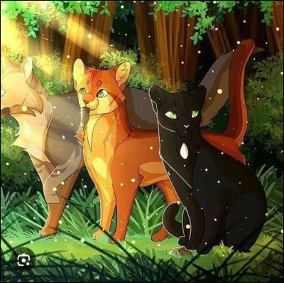 Qui va retrouver le Clan du Vent ?