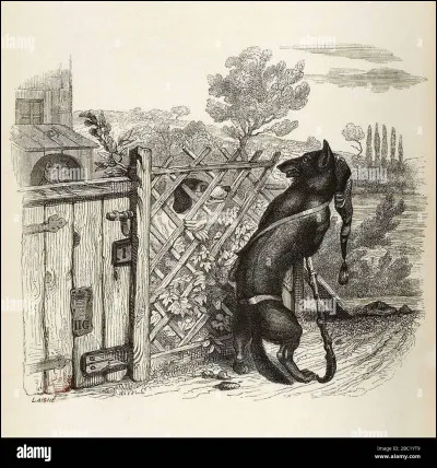 Quel auteur célèbre français a écrit "Le Loup et le Chien" ?