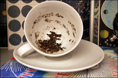 Dans quel endroit Harry a-t-il vu le chien noir la première fois ?