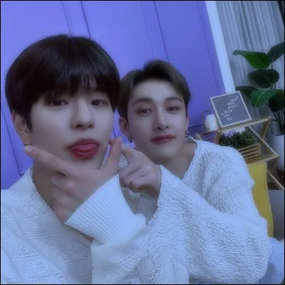 Qui sont ces deux membres ?