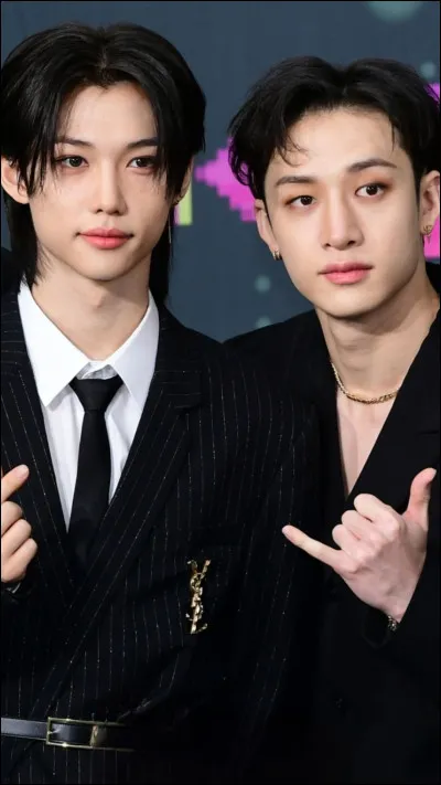 Bang Chan et Felix sont :