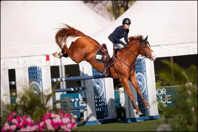 Quelle est cette race ?