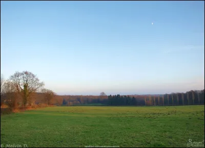 A quelle altitude situez-vous le point culminant du département du Nord ?