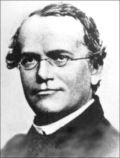 Que concernent les lois de Gregor Mendel ?