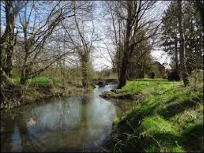 Quelle est cette rivière, longue de 69 km, qui prend sa source en bordure du massif des Ardennes, coule vers l'ouest à travers l'Avesnois et rejoint la Sambre ?