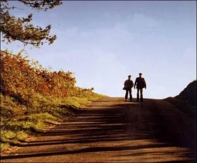 De quel film de Manuel Poirier, Paco et Nino sont-ils les hros ?