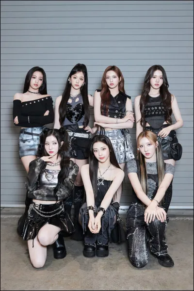 Quel est ton animal pr&eacute;f&eacute;r&eacute; ?