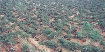 Comment se nommaient les tempêtes ayant touché lEurope entre le 26 et le 28 décembre ?