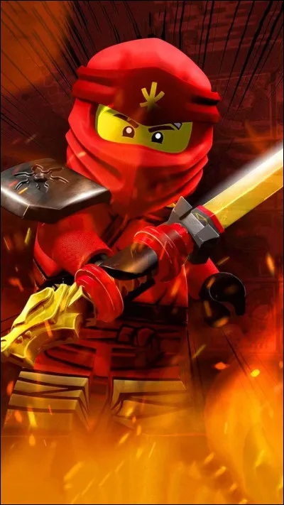 Quel est le nom de ce ninja ?