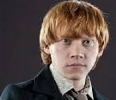 Qui serait ton meilleur ami dans ''Harry Potter'' ?
