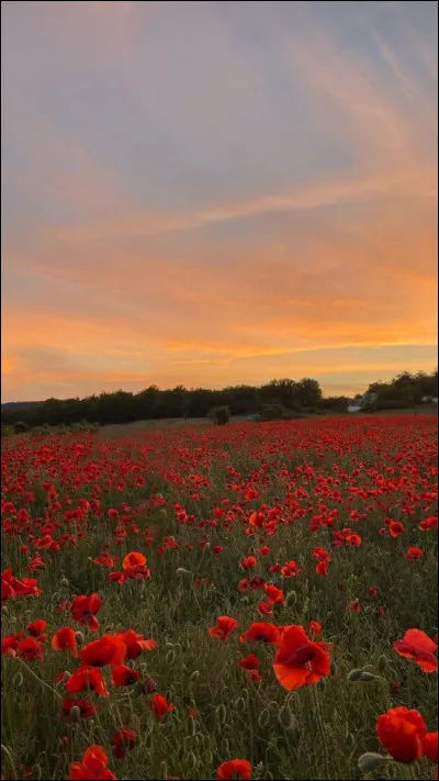 Et pour finir, que préfères-tu ?