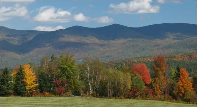 Quelle est votre saison préférée ?