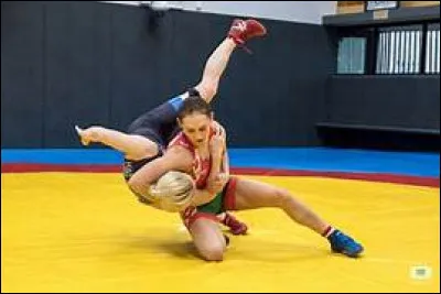 C'est un peuple amérindien qui a donné son nom à son État.