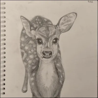 Comment sappellent les petits des biches ?