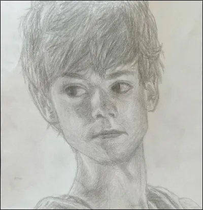 "Le Labyrinthe, The Maze Runner" du titre original, est-ce une saga de films ou de romans ?