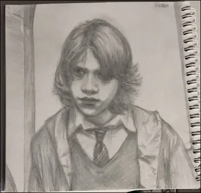 Comment se nomme le meilleur ami de Harry Potter ?