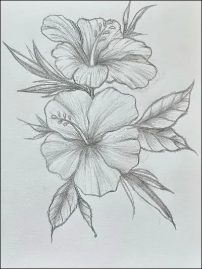 Quelles sont ces fleurs ?