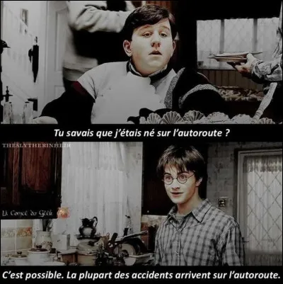 Aimez-vous la nature, les plantes et tout ça ?