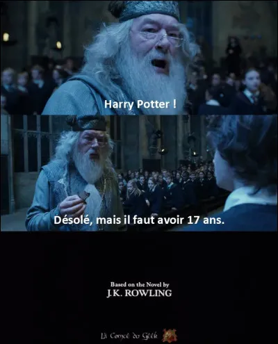 Fermez les yeux, et imaginez vous, vous réveillant, allant dans le salon, et voir un pigeon dehors.