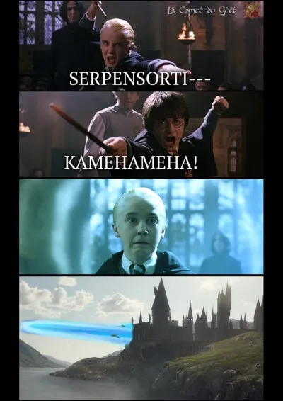 Bon. Un vote en beauté ?