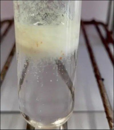 La couleur de la solution contenant des .... est incolore.