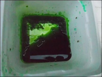 Lors de la réaction chimique entre le cuivre (Cu) et l'acide chlorhydrique (HCl), il ne se forme pas de dioxyde de carbone (CO₂).