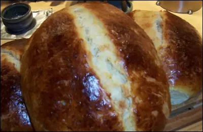 Comment est la jeunesse de Stefan Zweig, en 1901 ?