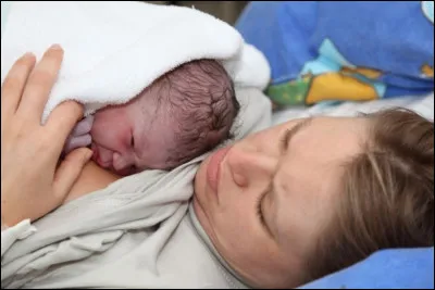 Quel est le continent où le taux de natalité est le plus fort ?