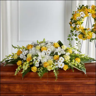 Quel est le continent où le taux de mortalité est le plus fort ?