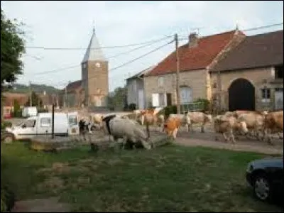 Village de l'ancienne r&eacute;gion Champagne-Ardenne, Anrosey se situe dans le d&eacute;partement ...