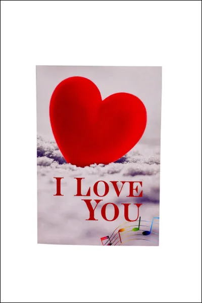 Toujours de la chanson française, qui sont les deux artistes présents sur le titre "I Love You" ?